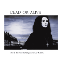 MUSIC ON CD Dead Or Alive - Mad, Bad And Dangerous To Know (CD)