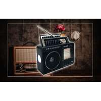 Bingoo Hordozható FM rádió MP3 lejátszó ledlámpával NS2025S