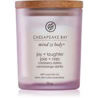 Chesapeake Bay Candle Chesapeake Bay Candle Mind & Body Joy & Laughter illatgyertya 96 g