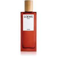 Loewe Loewe Solo Cedro EDT 50 ml