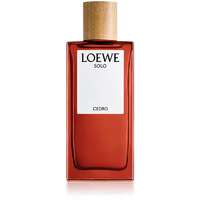 Loewe Loewe Solo Cedro EDT 100 ml