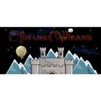 Droid Riot The Lost Wizard (PC - Steam elektronikus játék licensz)