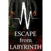 Dexied Games Escape from Labyrinth (PC - Steam elektronikus játék licensz)