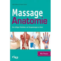  Massage-Anatomie, m. Poster – Abby Ellsworth,Peggy Altman
