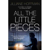  All The Little Pieces – Jilliane Hoffman