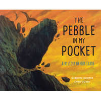  Pebble in My Pocket – Meredith Hooper