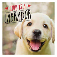  Love is a Labrador – Charlie Ellis