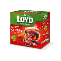 Loyd Loyd hot tea meggy-chili-kakaó - 40g