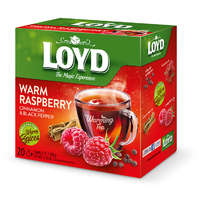Loyd Loyd piramis HOT tea málna-bors-fahéj 40g