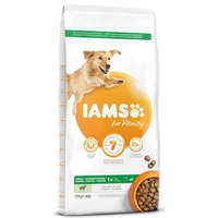 IAMS IAMS Dog Adult Large Lamb 12 kg