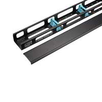 WP WP - 42U vertical cable management with cap for RNA & RSB 800mm wide rack - WPN-ACM-504-B