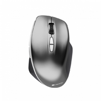 Canyon Canyon CNS-CMSW21DG Wireless mouse Dark Gray