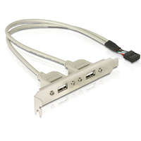 Delock Delock 71000 Slot konzol 1x belsõ USB 9tõs > 2x USB2.0 külsõ