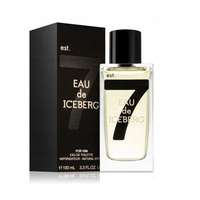 Iceberg Iceberg - Eau de Iceberg férfi 100ml eau de toilette