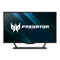 Acer Acer 42.5" Predator CG437KS Gaming Monitor