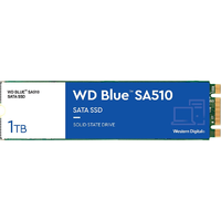 Western Digital Western Digital 1TB Blue SA510 M.2 SATA3 SSD