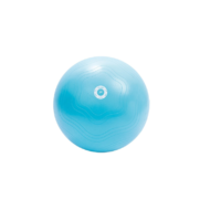 Pure2Improve Pure2Improve Yoga ball Gimnasztikai labda 65cm - Kék