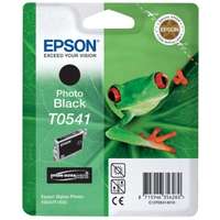 Epson Epson T0541 Eredeti Tintapatron Foto Fekete