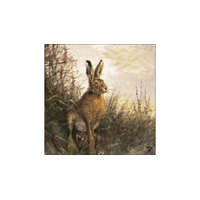  AMB.13314425 Portrait Of Hare papírszalvéta 33x33cm, 20db-os