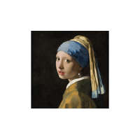 Ambiente AMB.13311590 Girl with The pearl Earring papírszalvéta 33x33cm,20db-os, Vermeer