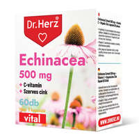 Dr Herz Dr.herz echinacea 500 mg+c-vitamin+szerves cink kapszula 60 db