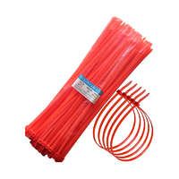 Industrial Solutions &amp; Services Kábelkötegelő készlet, piros, 5,0 x 300 mm, 50 darabos