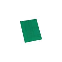 Noname Gyorsfűző papír A/4 zöld