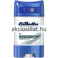 Gillette Gillette Eucalyptus deo stick gel 70ml