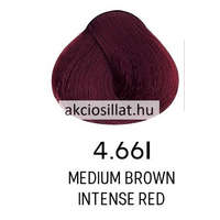 Alfaparf Alfaparf Milano Evolution Krémhajfesték 4.66I 60ml