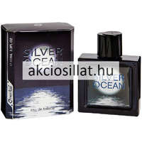 Omerta Omerta Silver Ocean EDT 100ml / Chanel Bleu parfüm utánzat