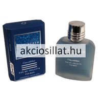 Omerta Omerta Blue Beach Intense EDT 100ml / Dolce Gabbana Light Blue Intense parfüm utánzat