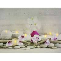  7 LEDes világító falikép rózsaszín orchideák 40x30cm 00855