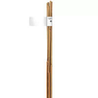 Nortene NORTENE Bamboo bambusz termesztő karó átmérő: 8-10mm hossz: 0,9m 4db/ktg