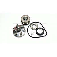 Vízpumpa felújító Honda Pantheon 125-150cc 2T