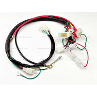 Vezeték köteg Dirt Bike - Pitbike 125ccm TIP 1