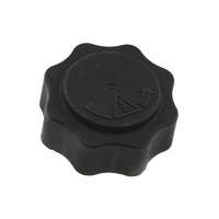 Vízhűtő sapka, kupak MINI R50, R53 COOPER S/ JOHN COOPER WORKS/ ONE D 02-08 17107515499