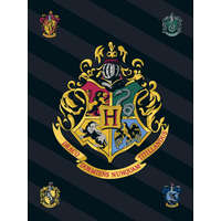 homyl Harry Potter Black polár takaró 100x140cm