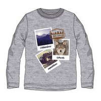 Ushuaia Ushuaia Pictures Szürke férfi otthoni póló S-XXL