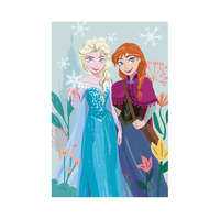Disney Jégvarázs Disney Jégvarázs polár takaró - 100 x 150 cm