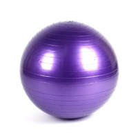 Homyl Gimnasztikai labda 95 cm