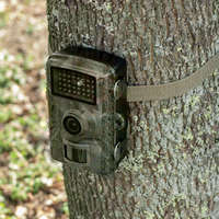 Home WILDCAM1 vadkamera, digitális fényképezőgép, time-lapse, PIR mozgásérzékelő, éjszakai mód, vízálló