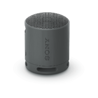 SONY SONY SRS-XB100B Bluetooth hangszóró, fekete