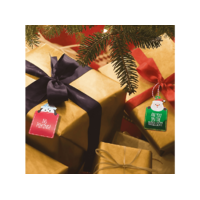 FAMILY CHRISTMAS FAMILY CHRISTMAS Karácsonyi ajándék címke, papír, 9 x 5 cm, 12 db / csomag (58525)