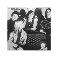 DBQP The Velvet Underground - Live At The Gymnasium, NYC 30 April 1967 (Vinyl LP (nagylemez))