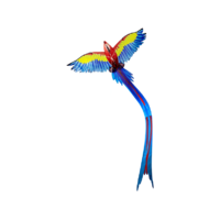 EOLO EOLO 3D pop-up szélsárkány, papagáj mintával