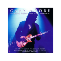VIRGIN Gary Moore - The Blues Collection (CD)