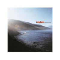 MUSIC ON VINYL Incubus - Morning View (Audiophile Edition) (Vinyl LP (nagylemez))