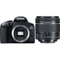 CANON CANON EOS 850D + EF S18-55mm f/4-5.6 IS STM kit