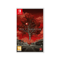 NINTENDO Deadly Premonition 2: A Blessing In Disguise (Nintendo Switch)