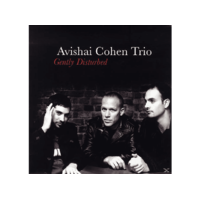 BERTUS HUNGARY KFT. Avishai Cohen Trio (Nagybőgős) - Gently Disturbed (Vinyl LP (nagylemez))